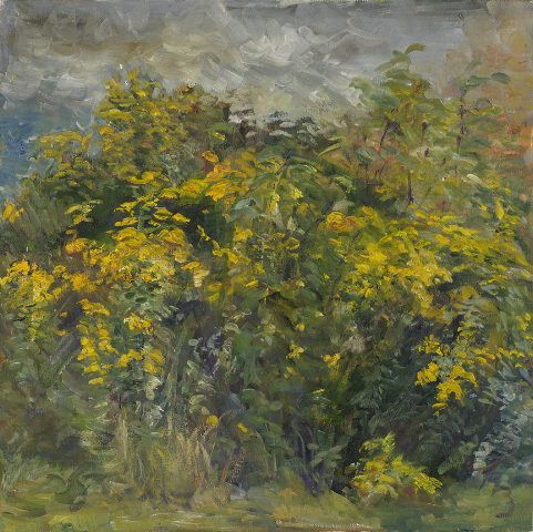 goldenrod-oil-on-canvas-2006-20-x-16.jpg