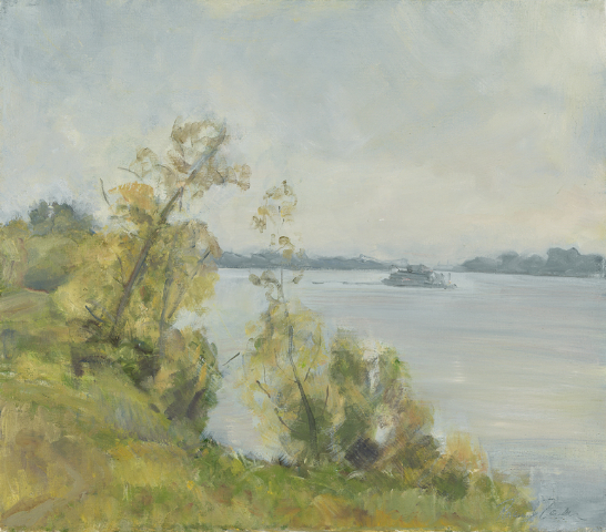 mississippi-river-2004-oil-on-canvas-27-x-31.jpg