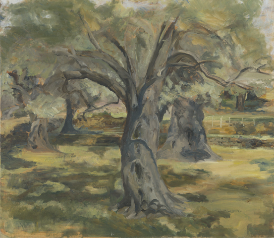 olive-grove-1991-oil-on-canvas-27-x-31.jpg