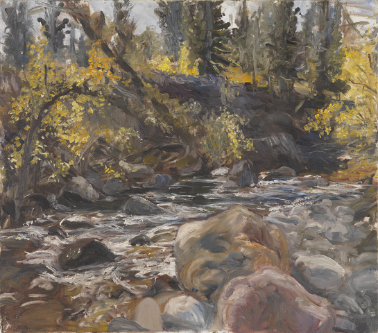 wyoming-river-1991-oil-on-canvas-22-x-25.jpg